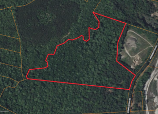 21 Acres of Timber & Hunting Land Near Aurora, NC